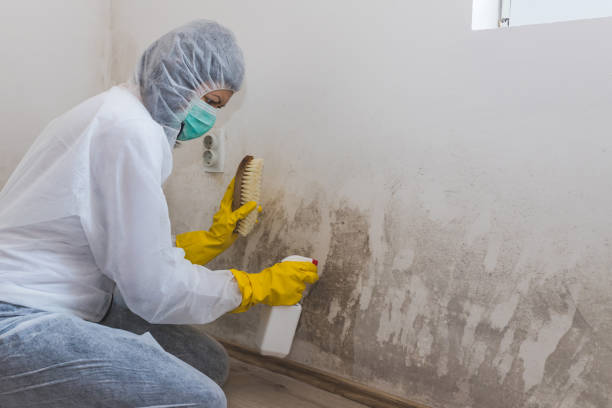 Best Mold Remediation for Healthcare Facilities  in Lincroft, NJ