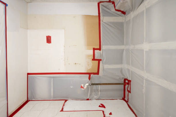 Best Mold-Related Health Consultation  in Lincroft, NJ