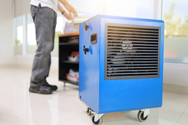 Lincroft, NJ Mold Removal Company