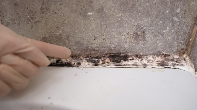 Best Mold Removal for HVAC Installations  in Lincroft, NJ