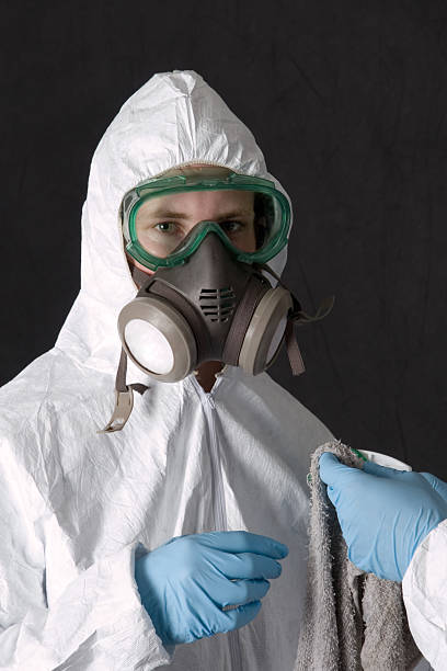 Best Mold Odor Removal Services  in Lincroft, NJ